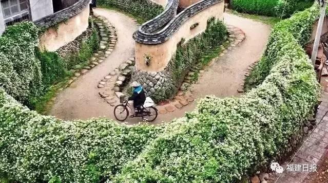 厉害了!这群年轻人!帮助很多贫困户,还把这个古镇发展成文创旅游大镇!