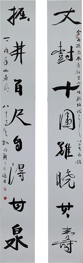 当代“魏碑”书法的“宝贝”——孙伯翔