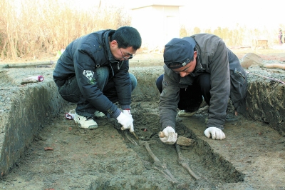 马家浜文化深度挖掘、活化利用正当时