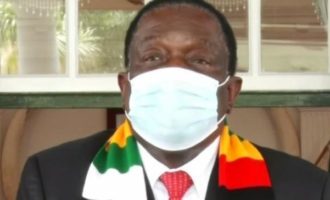 津巴布韦总统感谢中方援助新一批新冠疫苗