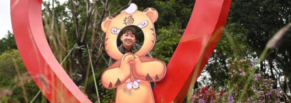 福建福州：“福”“虎”元素欢庆春节