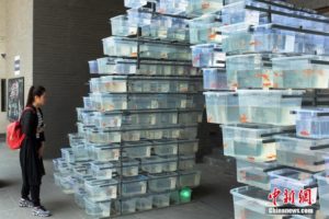 南京高校毕业生艺术设计作品展“硕果”