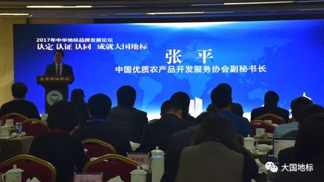 嘉宾发言